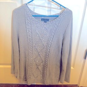 Karen Scott silver sweater